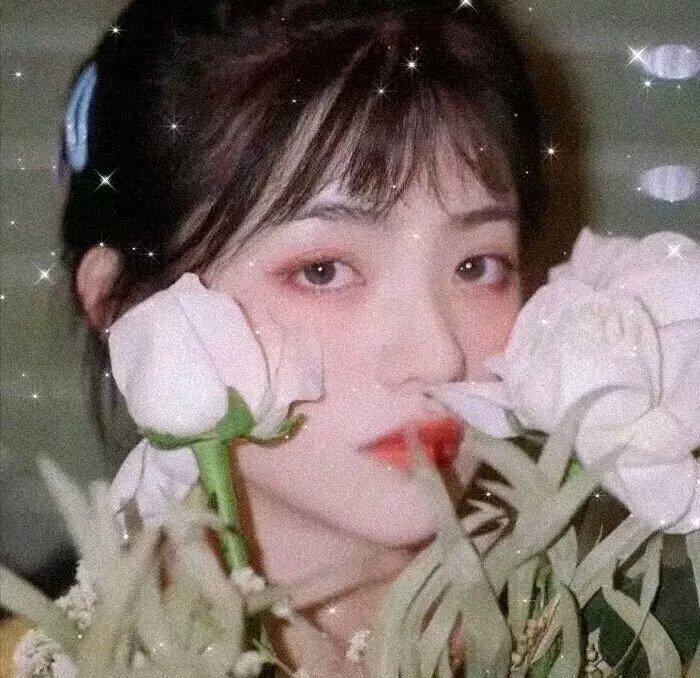 您的老鼠好友海报