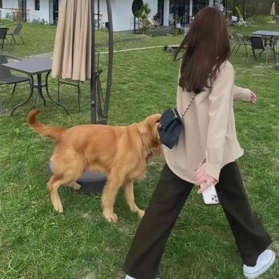 他们称之为罪海报